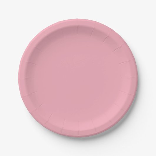 Assiettes En Carton PINK Drapeau trans (Devant)