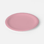 Assiettes En Carton PINK Drapeau trans (Angle)