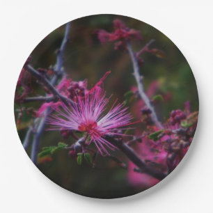 Assiettes En Carton Pink Fairy