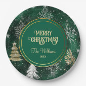 Assiettes En Carton Pins d'or Silver Snowflakes Hunter Green (Devant)