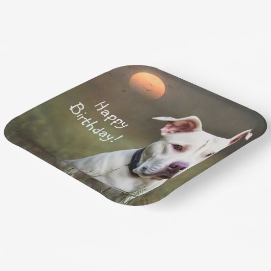 Assiettes En Carton Pitbull blanc (Angulaire)