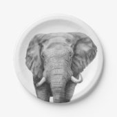 Assiettes En Carton Plan de sauvegarde IV (Devant)