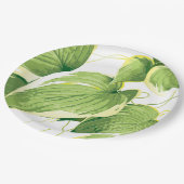 Assiettes En Carton Plante de ficus 2 (Angle)