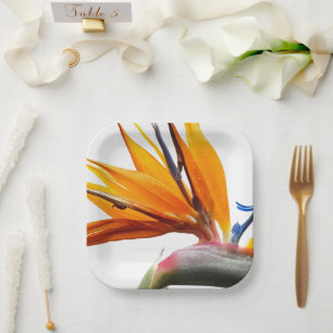 Assiettes En Carton Plante tropicale d'oiseau de paradis sur fleurs bl