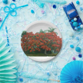 Assiettes En Carton plaque (Fête)