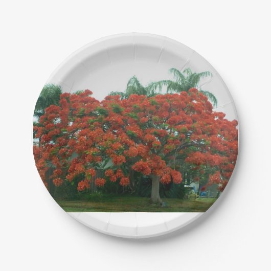 Assiettes En Carton plaque (Devant)