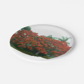 Assiettes En Carton plaque (Angle)