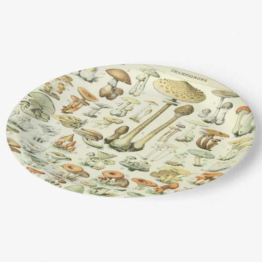 Assiettes En Carton Plaque à papier de champignons (Angle)