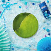 Assiettes En Carton plaque à papier de feuille verte (Fête)