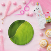 Assiettes En Carton plaque à papier de feuille verte (Fête)