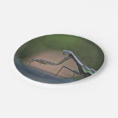 Assiettes En Carton Plaque à papier de mante de prière (Angle)