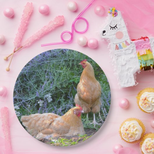 Assiettes En Carton Plaque à papier de poulet (Fête)