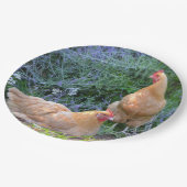 Assiettes En Carton Plaque à papier de poulet (Angle)