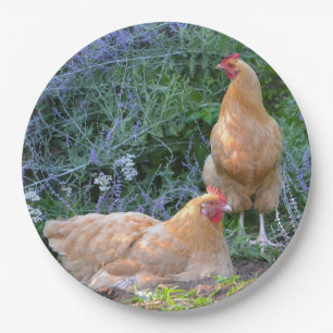 Assiettes En Carton Plaque à papier de poulet