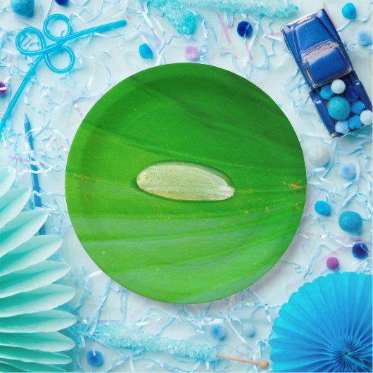 Assiettes En Carton Plaque à papier de protection de lis (Fête)