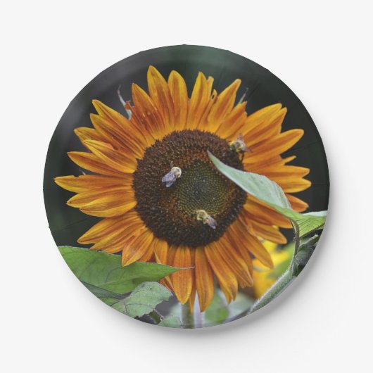 Assiettes En Carton Plaque à papier de tournesol renversant (Devant)