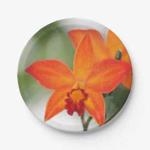 Assiettes En Carton Plaque à papier d'orchidée orange tropicale