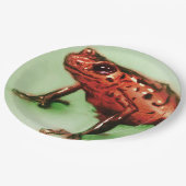 Assiettes En Carton Plaque à papier illustrée colorée - grenouille (Angle)