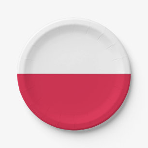 Assiettes En Carton Plaque à papier patriotique avec le drapeau de la