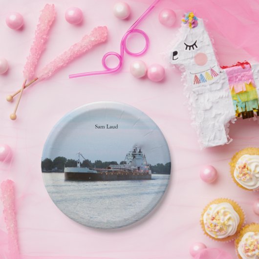 Assiettes En Carton Plaque à papier Sam Laud (Fête)