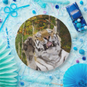 Assiettes En Carton Plaque de fête d'anniversaire (Fête)