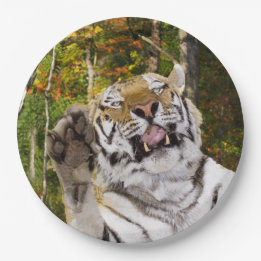 Assiettes En Carton Plaque de fête d'anniversaire