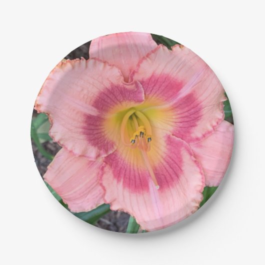 Assiettes En Carton Plaque de papier (Devant)