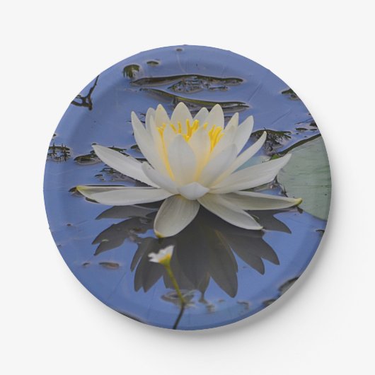 Assiettes En Carton Plaque de papier à couche d'eau (Devant)