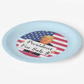 Assiettes En Carton Plaque de papier à vendre (Angle)