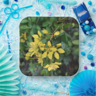 ASSIETTES EN CARTON PLAQUE DE PAPIER AVEC MESSAGE DE PROTECTION NATURE