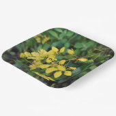 ASSIETTES EN CARTON PLAQUE DE PAPIER AVEC MESSAGE DE PROTECTION NATURE (Angulaire)