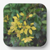 ASSIETTES EN CARTON PLAQUE DE PAPIER AVEC MESSAGE DE PROTECTION NATURE (Recto)