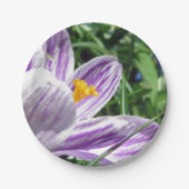 Assiettes En Carton Plaque de papier crocus à ressort violet (Devant)