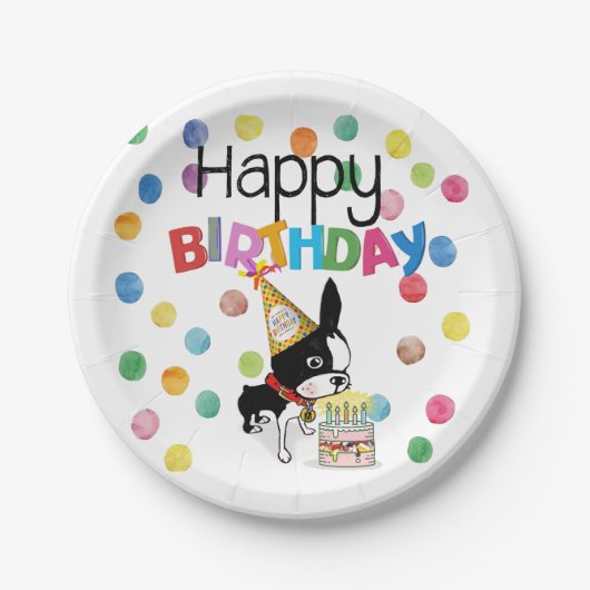 Assiettes En Carton Plaque de papier d'anniversaire Mirabelle Boston t (Devant)