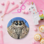 Assiettes En Carton Plaque de papier d'araignée d'Halloween (Fête)