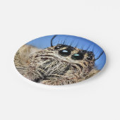 Assiettes En Carton Plaque de papier d'araignée d'Halloween (Angle)