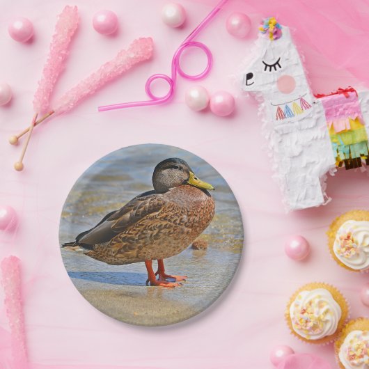 Assiettes En Carton Plaque de papier de canard (Fête)