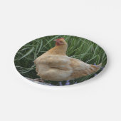 Assiettes En Carton Plaque de papier de poulet (Angle)