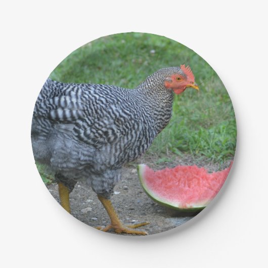 Assiettes En Carton Plaque de papier de poulet et de pastèque (Devant)