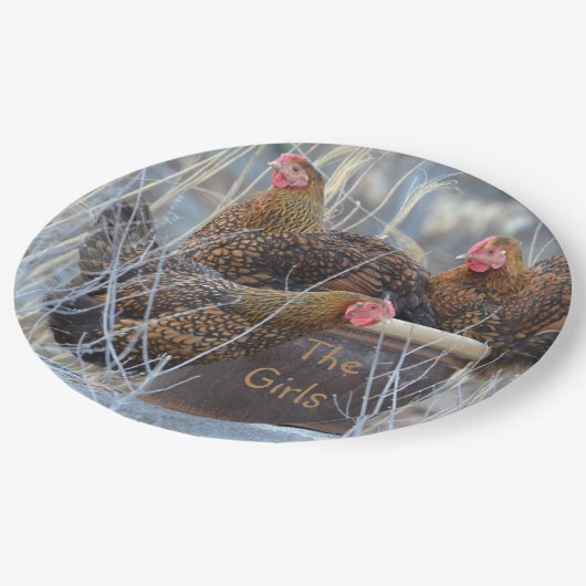 Assiettes En Carton Plaque de papier de poulet "Les filles" (Angle)