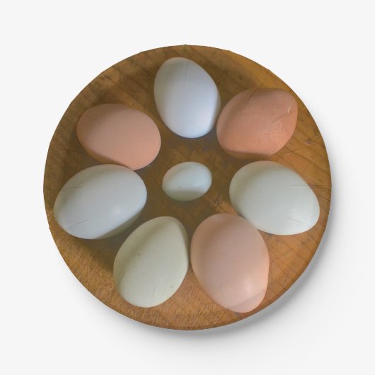 Assiettes En Carton Plaque de papier d'oeuf de poulet (Devant)
