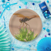 Assiettes En Carton Plaque de papier dragonfly (Fête)