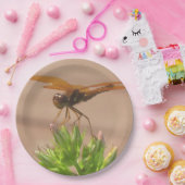 Assiettes En Carton Plaque de papier dragonfly (Fête)