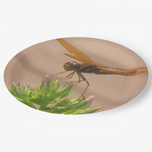 Assiettes En Carton Plaque de papier dragonfly (Angle)