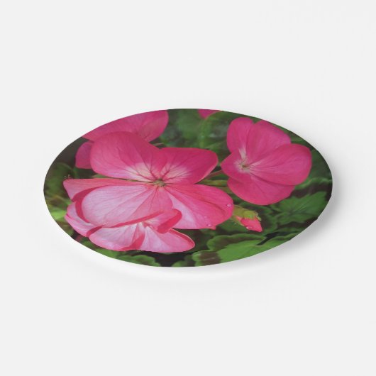 Assiettes En Carton Plaque de papier en géranium rose (Angle)