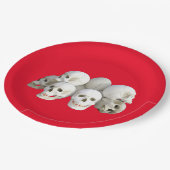 Assiettes En Carton Plaque de papier Halloween Skuls (Angle)