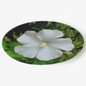 Assiettes En Carton Plaque de papier Hibiscus (Angle)