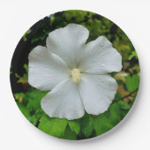 Assiettes En Carton Plaque de papier Hibiscus (Devant)