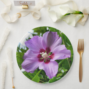 Assiettes En Carton Plaque de papier Hibiscus