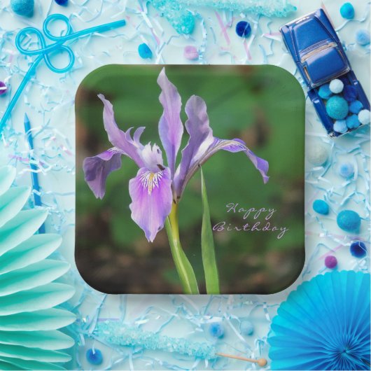 Assiettes En Carton Plaque de papier Iris violet (Fête)